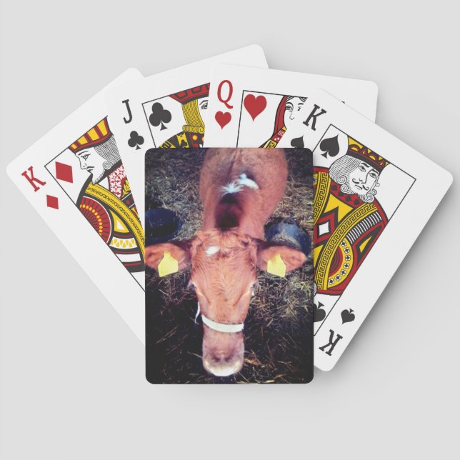 Braune Kuh Spielkarten (Rückseite)