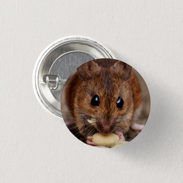 Braune Maus Eating Erdnuss Nah-up Button (Vorne & Hinten)