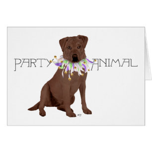 Braune Partytier Labrador Retriever