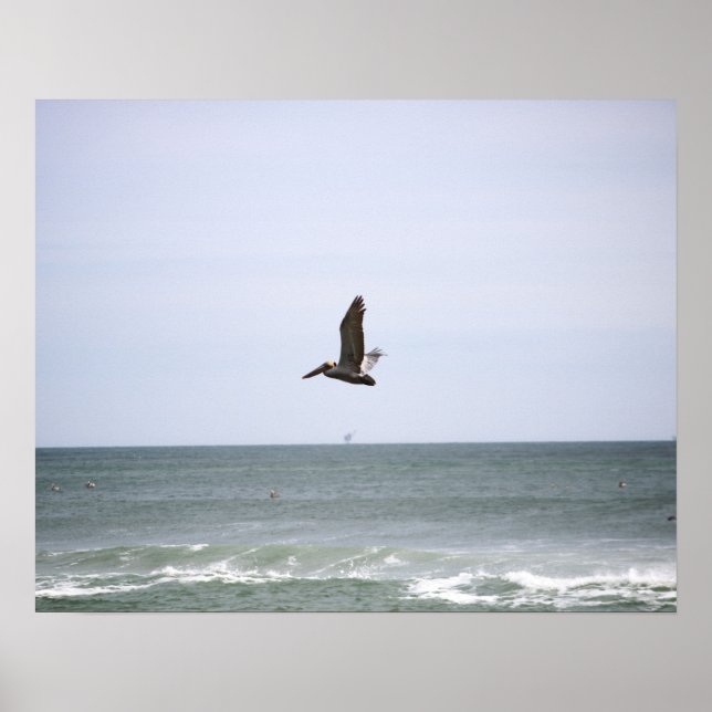 Braune Pelikane, die über den Ozean fliegen 16x20 Poster (Vorne)