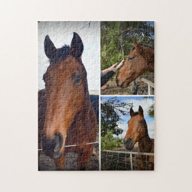 braune Pferde in einer FotoCollage, (Vertikal)