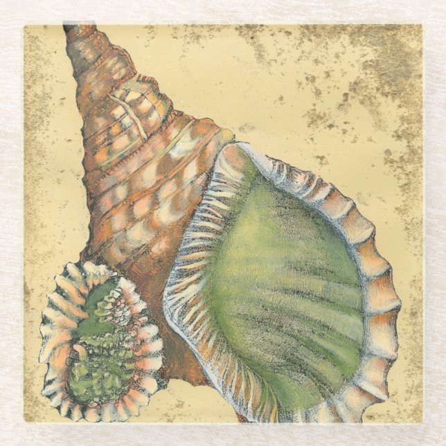 Braune und grüne Seashell Glasuntersetzer (Vorderseite)