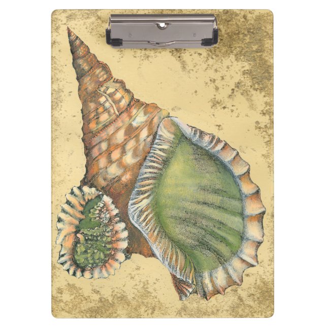 Braune und grüne Seashell Klemmbrett (Vorderseite)