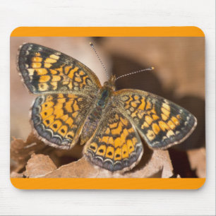 Braune und orange Mottenbekleidung und Geschenke Mousepad