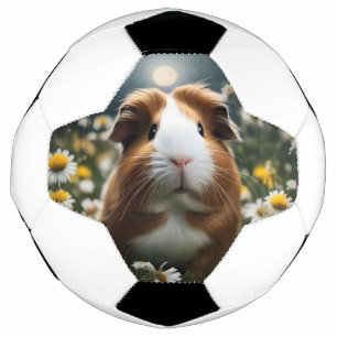 Braune und weiße Guinea Schweinemond und Milchprod Fußball