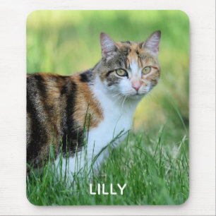 Braune und weiße Katze Mousepad