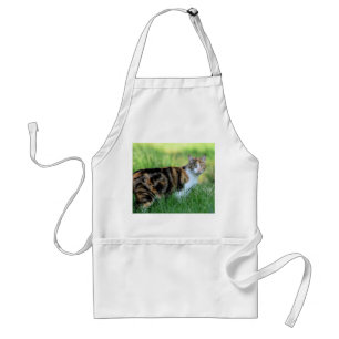 Braune und weiße Katze Schürze