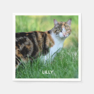 Braune und weiße Katze Serviette