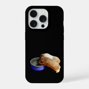 Braune und weiße Meerschweinchen, iPhone 15 Pro Hülle