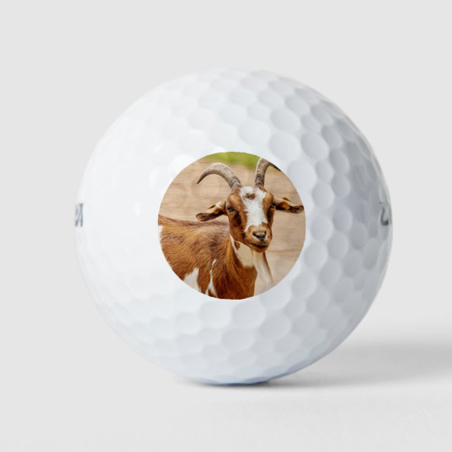 Braune und weiße Ziege Golfball (Vorderseite)