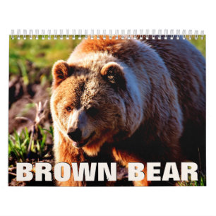 Brauner Bär 2022 - Mauerkalender Kalender