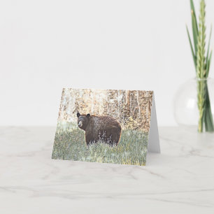 Brauner Bär - Blankenkarte Karte