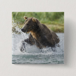 Brauner Bär, der Lachs im Fluss jagt Button