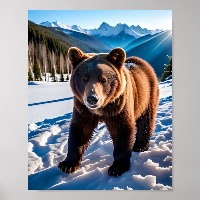 Brauner Bär im Schnee Poster (Vorne)