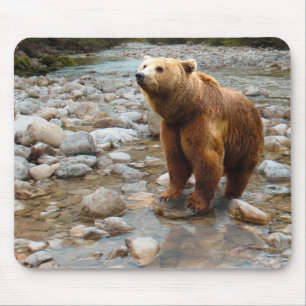 Brauner Bär in Stream Mousepad