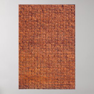 Brauner Baumstamm Poster