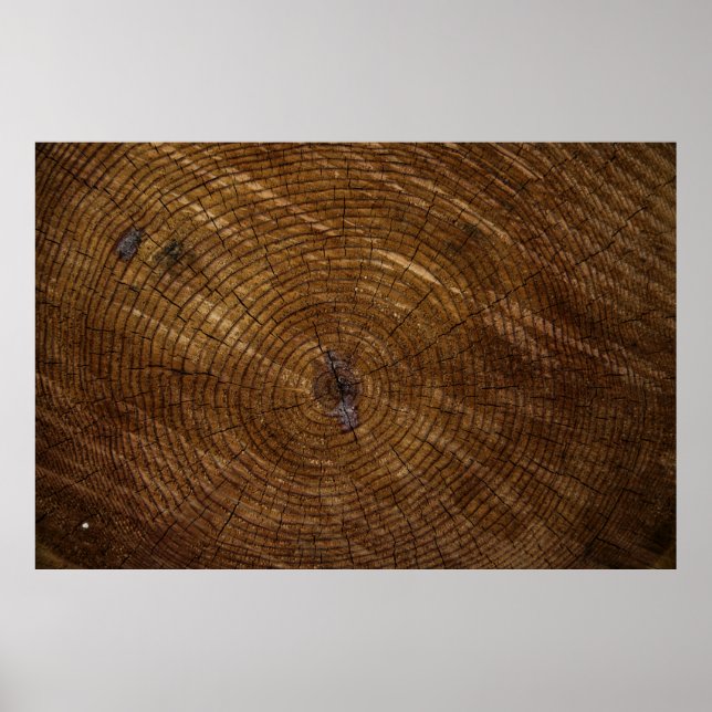 Brauner Baumstamm Poster (Vorne)