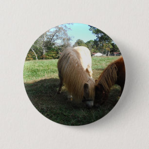 Brauner Blond", Miniaturpferde"Zwei kleine Ponys Button