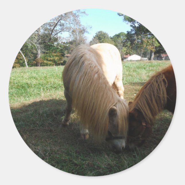 Brauner Blond", Miniaturpferde"Zwei kleine Ponys Runder Aufkleber (Vorderseite)
