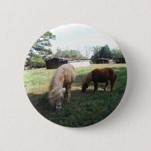 Brauner Blond, zwei Miniaturpferde, "Kleiner Pony" Button