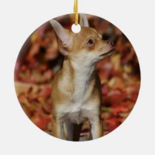 Brauner Chihuahua-Welpe Keramik Ornament