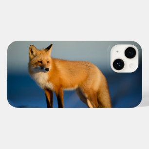 Brauner Fuchs iPhone 14 Hülle
