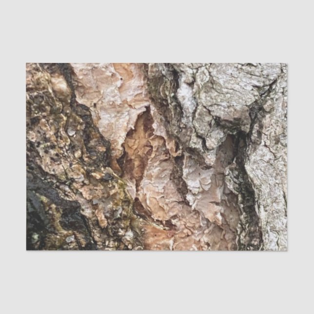 Brauner Graubaum Bark Textur Altes Foto Kunst Seidenpapier (Vorderseite)