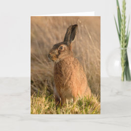 Brauner Hase geklappte Grußkarte Karte