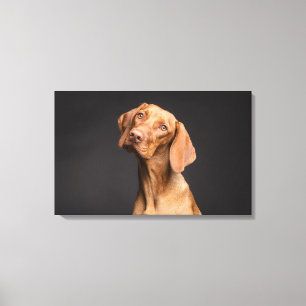 Brauner Hund mit langem Neck Leinwanddruck