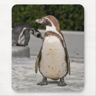 Brauner Magellan-Pinguin-Mauspad Mousepad