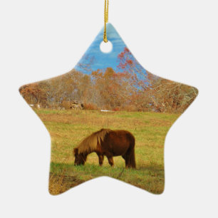 Brauner Miniaturpony Keramikornament