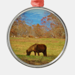 Brauner Miniaturpony Silbernes Ornament
