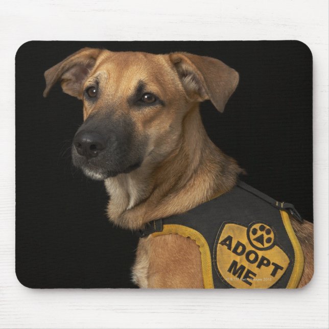 Brauner Rettungshund mit adoptiert Weste Mousepad (Vorne)
