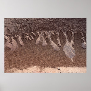 Brauner Sand Poster