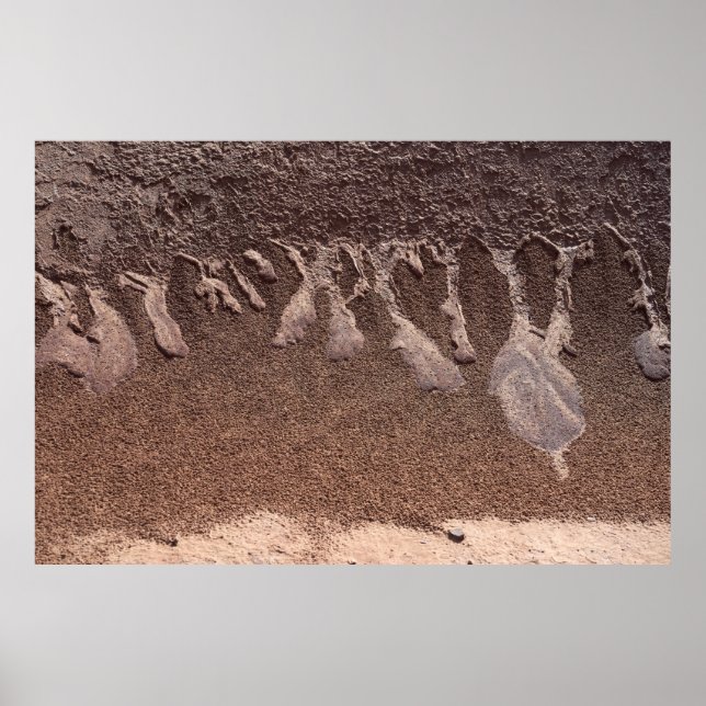 Brauner Sand Poster (Vorne)