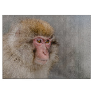 Brauner Schneenaffe, japanische Fotografie Schneidebrett