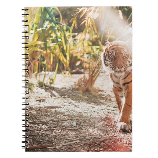 BRAUNER TIGER IN SCHREITENDER GESTE NOTIZBLOCK (Vorderseite)