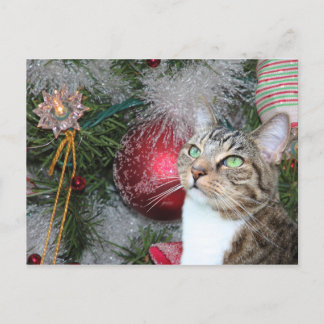 Brauner Tisch mit weißen Weihnachten