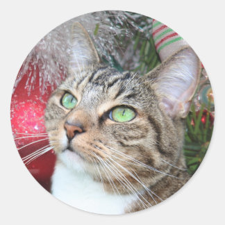 Brauner Tisch mit weißen Weihnachten Runder Aufkleber
