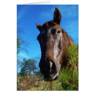 Brauner und cremefarbener Himmel