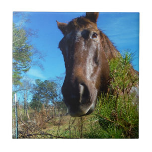 Brauner und cremefarbener Himmel Fliese