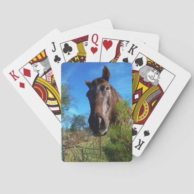 Brauner und cremefarbener Himmel Spielkarten (Rückseite)