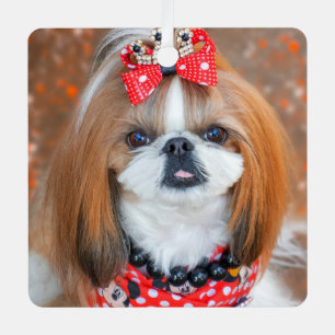 Brauner und weißer Schih Tzu Welpenhund Ornament Aus Metall