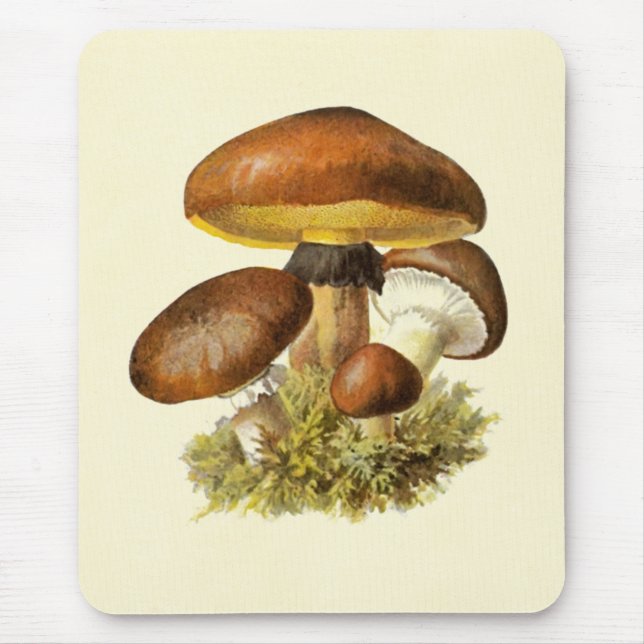 Brauner Vintage-Pilz Mousepad (Vorne)