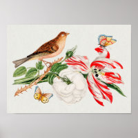 Brauner Vogel auf einem Ast