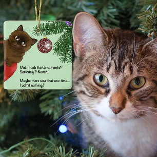 Brauner Weihnachtsbaumschmuck-Kater Keramikornament