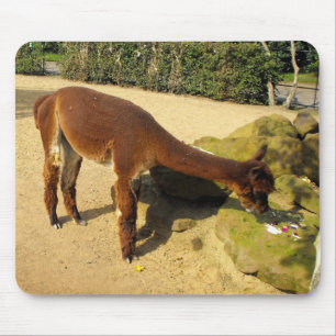 Braunes Alpaca-Tier Mousepad