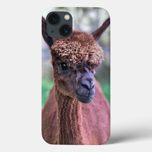 Braunes Alpaka iPad Mini Case (Rückseite)
