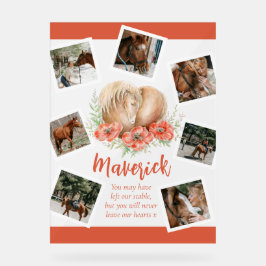 Braunes Foto Acrylschild