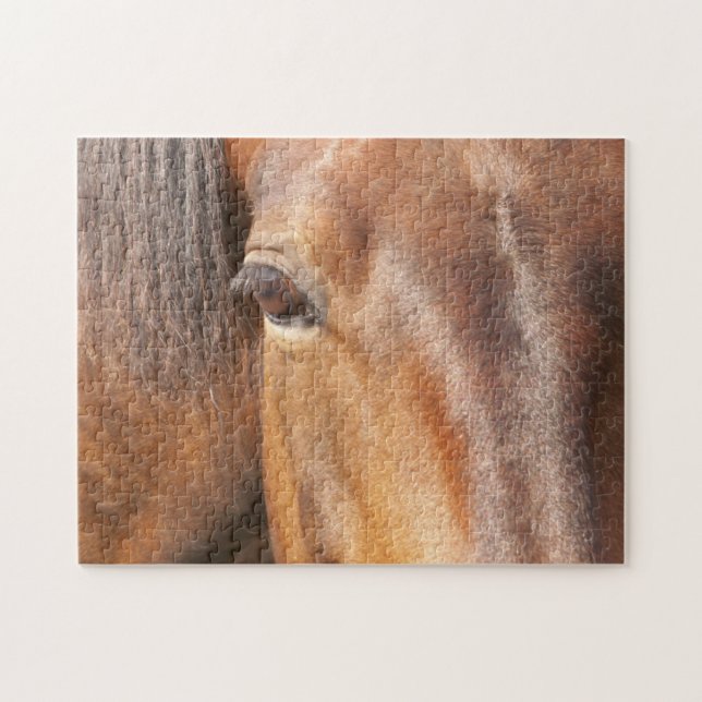 Braunes Pferd (Horizontal)